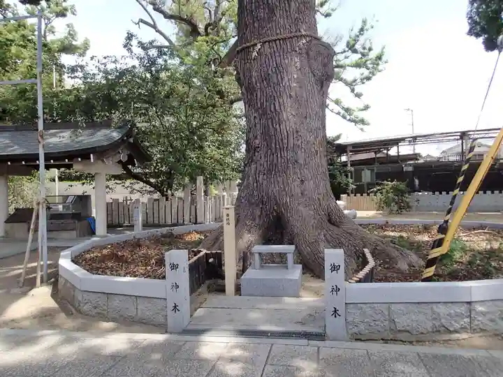阿麻美許曽神社のその他建物