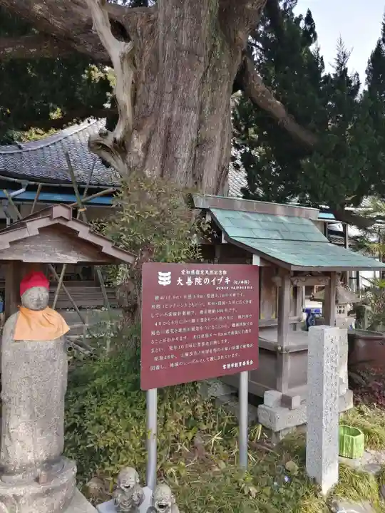 大善院(観蓮寺大善院)のその他建物