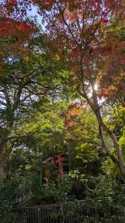 吉田神社(京都府)
