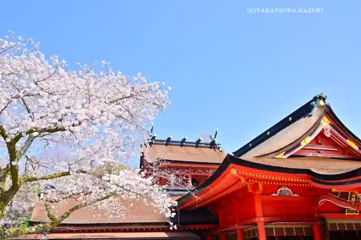 富士山本宮浅間大社(静岡県)