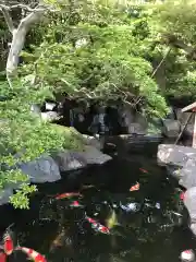 樹源寺の庭園