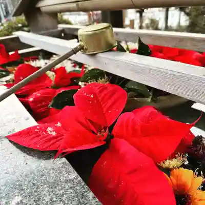 豊景神社の手水舎