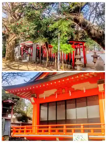 花園神社(東京都)