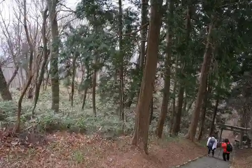 高龗神社の自然