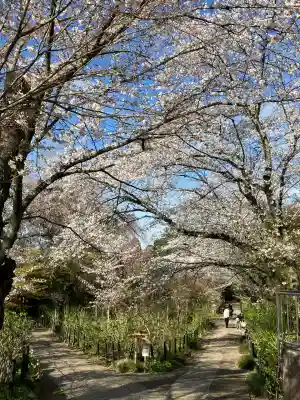本土寺(千葉県)