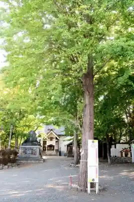 星置神社(北海道)