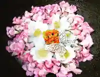 真言宗 善通寺派 薬王寺(香川県)