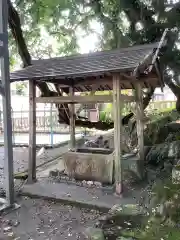 天鷹神社の手水