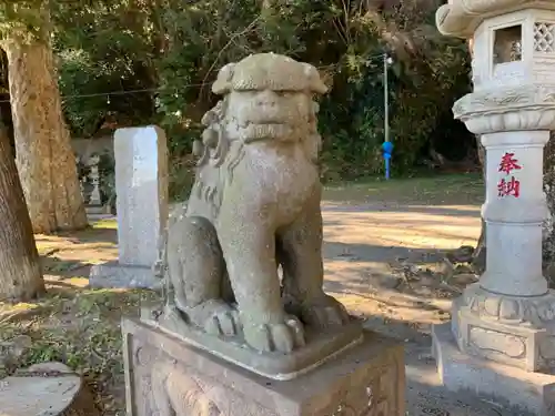 天満神社の狛犬