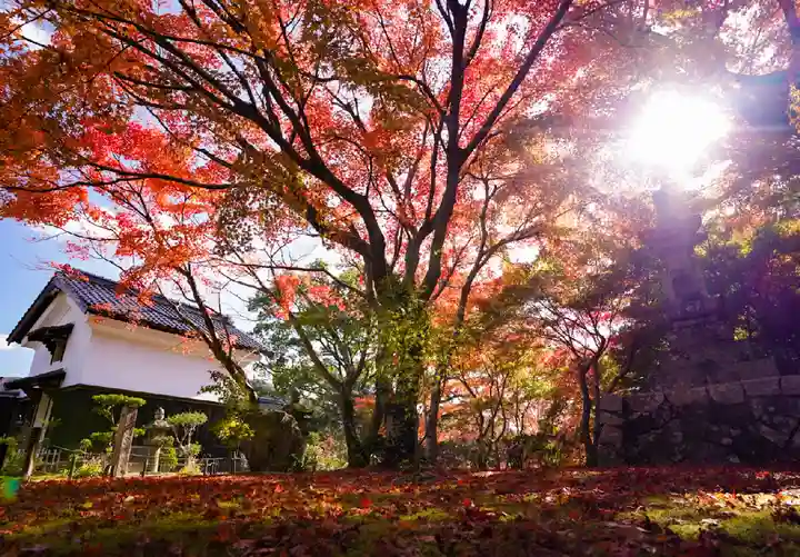 両足寺(山口県)