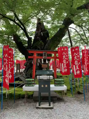 秩父今宮神社の自然