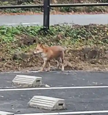 飯綱神社(長野県)