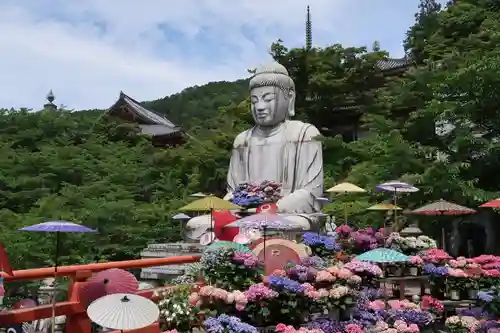 南法華寺（壷阪寺）(奈良県)