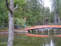 高野山金剛峯寺の庭園