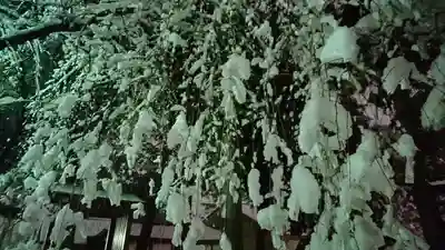 下野國一社八幡宮(栃木県)