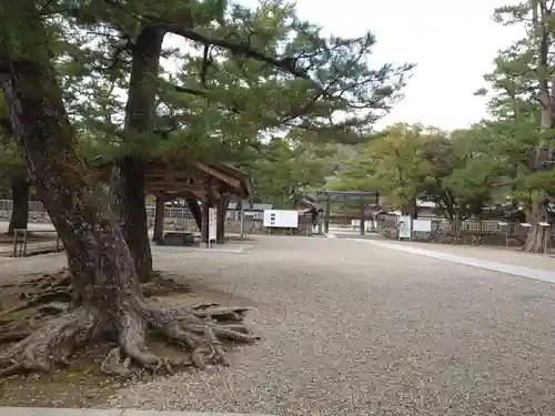 出雲大社(島根県)