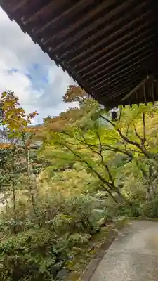 慈氏院(京都府)