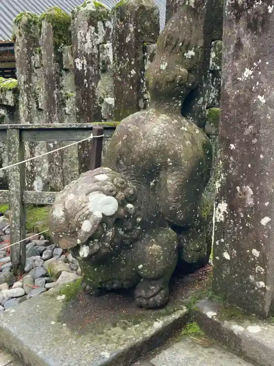 日光東照宮(栃木県)