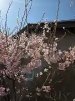 成田山川越別院の{uncategorized: "未分類", other: "その他", undefined: "問題あり", building: "その他建物", grave: "お墓", sacred_gate: "鳥居", guardian: "狛犬", statue: "像", buddha: "仏像", history: "歴史", nature: "自然", garden: "庭園", animal: "動物", pagoda: "塔", temizu: "手水舎", mountain_gate: "山門・神門", sanctuary: "本殿・本堂", subordinate: "末社・摂社", art: "芸術", scenery: "景色", jizo: "地蔵", ema: "絵馬", goshuin: "御朱印", omikuji: "おみくじ", items: "授与品その他", amulet: "お守り", goshuincho: "御朱印帳", eats: "食事", festival: "お祭り", votive_dance: "神楽", shichigosan: "七五三参", wedding: "結婚式", experience: "体験その他", initially: "初詣", around: "周辺", anti_infection: "感染症対策"}