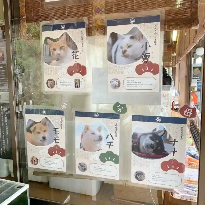 救馬溪観音の{uncategorized: "未分類", other: "その他", undefined: "問題あり", building: "その他建物", grave: "お墓", sacred_gate: "鳥居", guardian: "狛犬", statue: "像", buddha: "仏像", history: "歴史", nature: "自然", garden: "庭園", animal: "動物", pagoda: "塔", temizu: "手水舎", mountain_gate: "山門・神門", sanctuary: "本殿・本堂", subordinate: "末社・摂社", art: "芸術", scenery: "景色", jizo: "地蔵", ema: "絵馬", goshuin: "御朱印", omikuji: "おみくじ", items: "授与品その他", amulet: "お守り", goshuincho: "御朱印帳", eats: "食事", festival: "お祭り", votive_dance: "神楽", shichigosan: "七五三参", wedding: "結婚式", experience: "体験その他", initially: "初詣", around: "周辺", anti_infection: "感染症対策"}