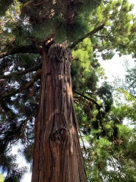 宝樹院小山寺(茨城県)