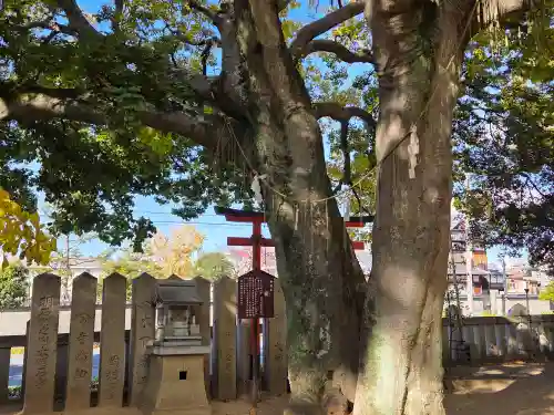 岩屋神社(兵庫県)