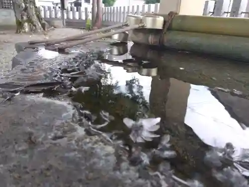 杉杜白髭神社(福井県)