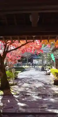 西教寺のその他建物