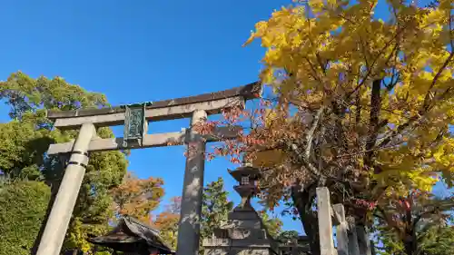 豊国神社(京都府)