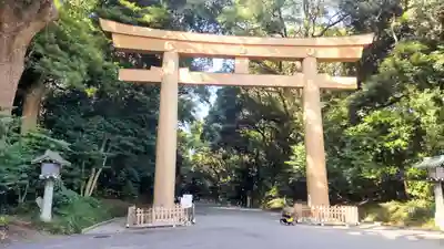 明治神宮(東京都)