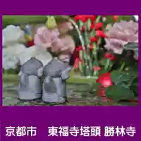 勝林寺(京都府)