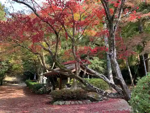 胡宮神社（敏満寺史跡）の手水舎