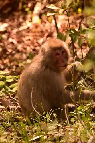佛ヶ滝(香川県)