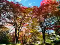 土津神社|こどもと出世の神さまの自然