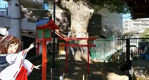五方山熊野神社の自然