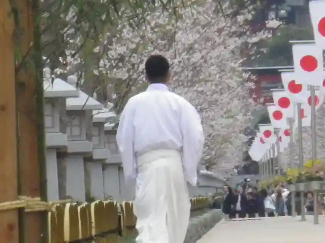 鶴岡八幡宮(神奈川県)