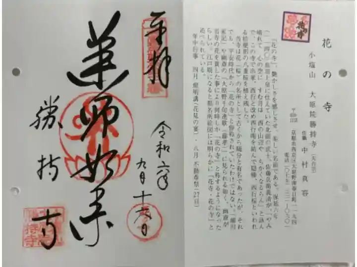 勝持寺 通称寺花の寺