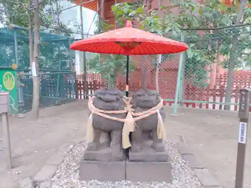 浅草神社の狛犬