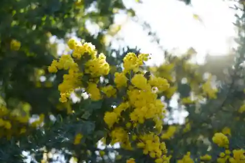 常信寺(三重県)