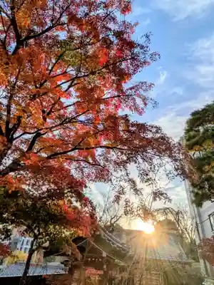 法輪寺(東京都)