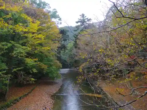 伊勢神宮内宮（皇大神宮）の景色