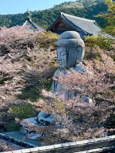 南法華寺（壷阪寺）(奈良県)