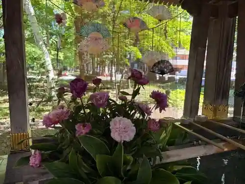 彌彦神社　(伊夜日子神社)(北海道)