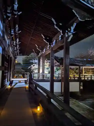 妙顯寺（妙顕寺）の本殿・本堂