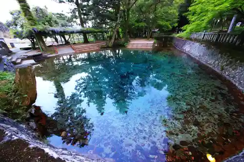 嚴島神社の庭園