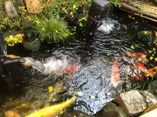 吉原神社の庭園