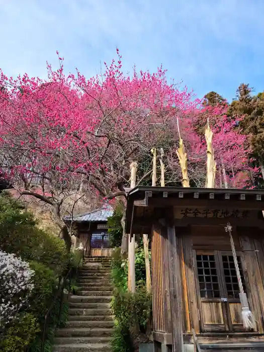 梅林寺の建物その他