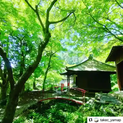 普門寺(切り絵御朱印発祥の寺)の庭園