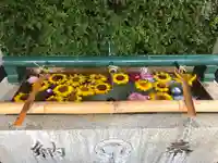 伊和志津神社の手水舎