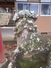 猿田彦神社の狛犬